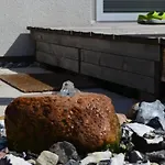 La In By Interhome Altefähr