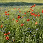 La In By Interhome Hébergement de vacances *